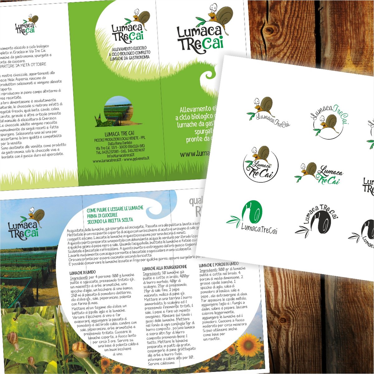 Portfolio Focus Grafica Servizi